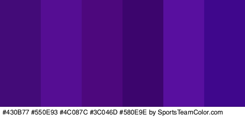 #430B77 #550E93 #4C087C #3C046D #580E9E #3F088C Colors