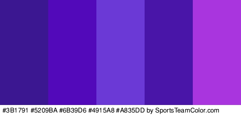 #3B1791 #5209BA #6B39D6 #4915A8 #A835DD Colors