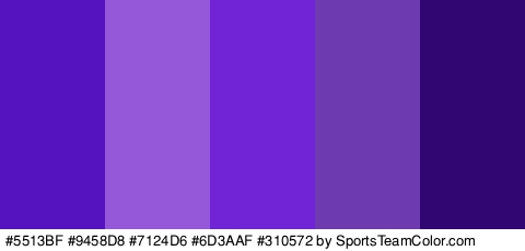 #5513BF #9458D8 #7124D6 #6D3AAF #310572 Colors