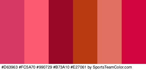 #D63963 #FC5A70 #990729 #B73A10 #E27061 #D1043E Colors