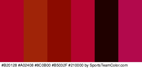 #B20128 #A02408 #8C0B00 #B5032F #210000 #B2084C Colors