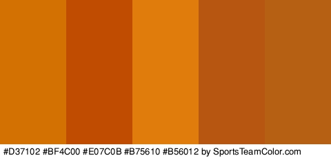 #D37102 #BF4C00 #E07C0B #B75610 #B56012 Colors