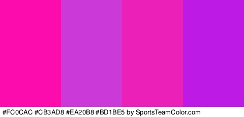 #FC0CAC #CB3AD8 #EA20B8 #BD1BE5 Colors