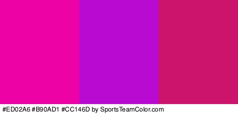 #ED02A6 #B90AD1 #CC146D Colors