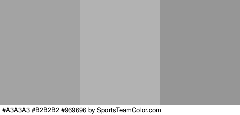 #A3A3A3 #B2B2B2 #969696 Colors