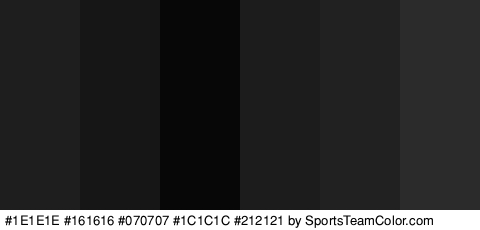 #1E1E1E #161616 #070707 #1C1C1C #212121 #2B2B2B Colors