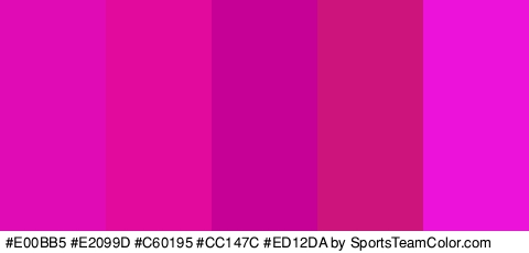 #E00BB5 #E2099D #C60195 #CC147C #ED12DA Colors