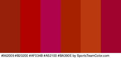 #962009 #B20200 #AF034B #A52100 #BA390E #A0032D Colors