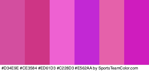 #D34E9E #CE3584 #ED61D3 #C228D3 #E562AA #CE1CBF Colors