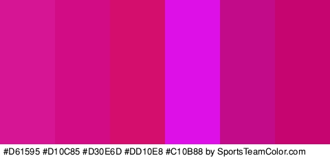 #D61595 #D10C85 #D30E6D #DD10E8 #C10B88 #C60570 Colors