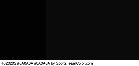 #020202 #0A0A0A #0A0A0A Colors