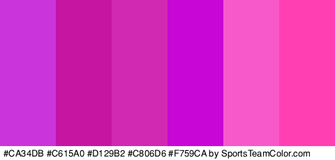 #CA34DB #C615A0 #D129B2 #C806D6 #F759CA #FF3FB2 Colors