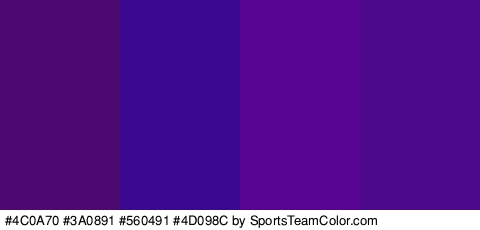 #4C0A70 #3A0891 #560491 #4D098C Colors