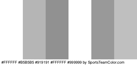 #FFFFFF #B5B5B5 #919191 #FFFFFF #999999 #BFBFBF Colors