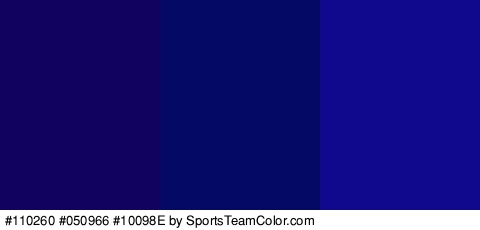 #110260 #050966 #10098E Colors