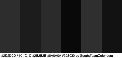 #2D2D2D #1C1C1C #2B2B2B #0A0A0A #303030 #111111 Colors