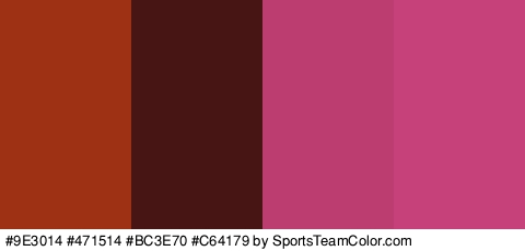 #9E3014 #471514 #BC3E70 #C64179 Colors