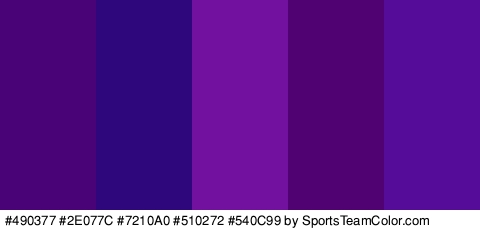 #490377 #2E077C #7210A0 #510272 #540C99 Colors