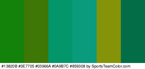 #13820B #3E7705 #03966A #0A9B7C #859308 #026D46 Colors