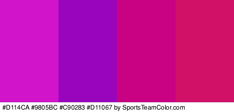 #D114CA #9805BC #C90283 #D11067 Colors