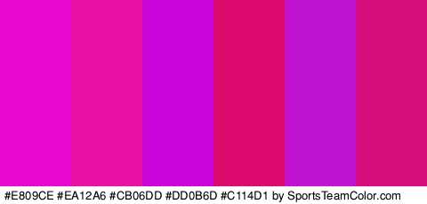 #E809CE #EA12A6 #CB06DD #DD0B6D #C114D1 #D80D7D Colors