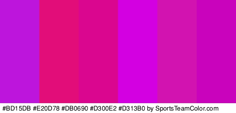 #BD15DB #E20D78 #DB0690 #D300E2 #D313B0 #C902BC Colors