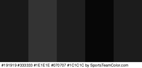 #191919 #333333 #1E1E1E #070707 #1C1C1C Colors