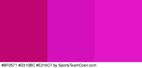 #BF0571 #D310BC #E216C7 Colors