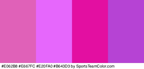 #E062B8 #E667FC #E20FA0 #B643D3 Colors