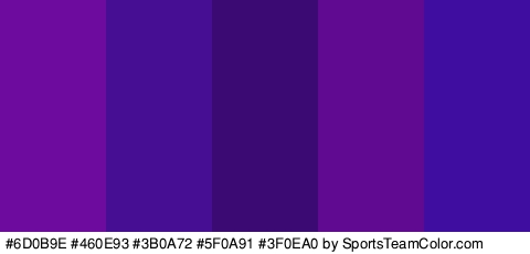 #6D0B9E #460E93 #3B0A72 #5F0A91 #3F0EA0 Colors