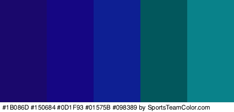 #1B086D #150684 #0D1F93 #01575B #098389 Colors