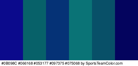 #0B098C #066168 #053177 #097375 #075068 #04045E Colors