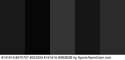 #191919 #070707 #333333 #161616 #2B2B2B Colors