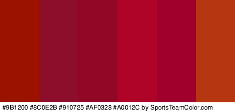 #9B1200 #8C0E2B #910725 #AF0328 #A0012C #B53610 Colors