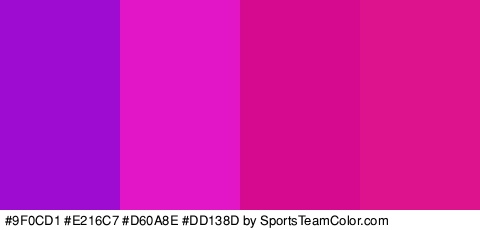 #9F0CD1 #E216C7 #D60A8E #DD138D Colors