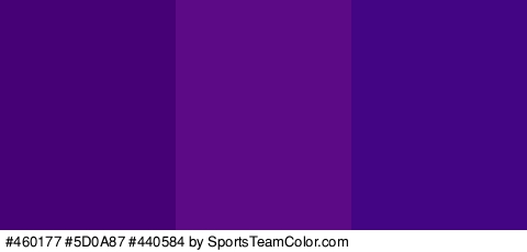 #460177 #5D0A87 #440584 Colors