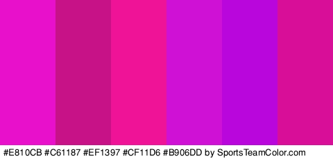 #E810CB #C61187 #EF1397 #CF11D6 #B906DD #D80D98 Colors