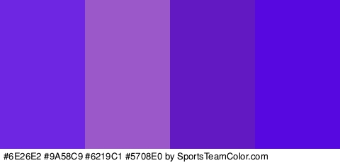 #6E26E2 #9A58C9 #6219C1 #5708E0 Colors