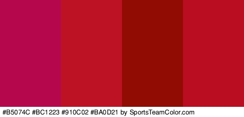 #B5074C #BC1223 #910C02 #BA0D21 Colors