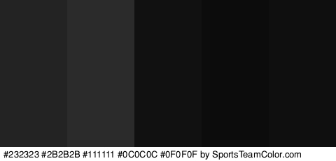 #232323 #2B2B2B #111111 #0C0C0C #0F0F0F Colors