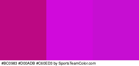 #BC0983 #D00ADB #C60ED3 Colors