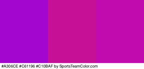 #A306CE #C61196 #C10BAF Colors