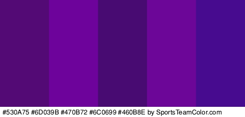 #530A75 #6D039B #470B72 #6C0699 #460B8E Colors