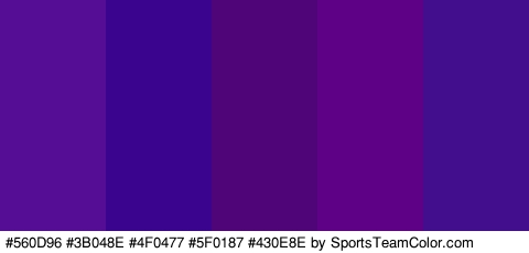 #560D96 #3B048E #4F0477 #5F0187 #430E8E Colors