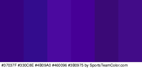 #37037F #330C8E #4B09A0 #460096 #3B0975 #420C89 Colors