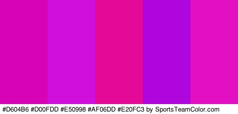 #D604B6 #D00FDD #E50998 #AF06DD #E20FC3 Colors