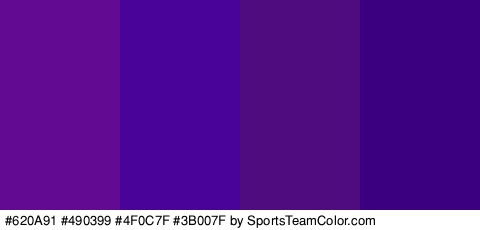 #620A91 #490399 #4F0C7F #3B007F Colors