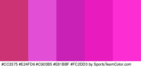 #CC3375 #E24FD6 #C920B5 #E81BBF #FC2DD3 Colors