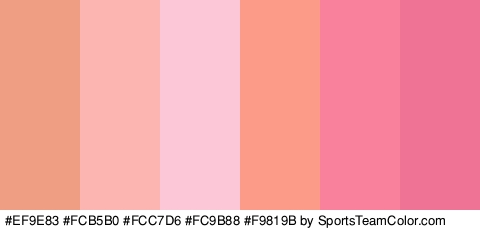 #EF9E83 #FCB5B0 #FCC7D6 #FC9B88 #F9819B #EF7394 Colors