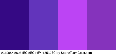 #360984 #6234BC #BC44F4 #8532BC Colors